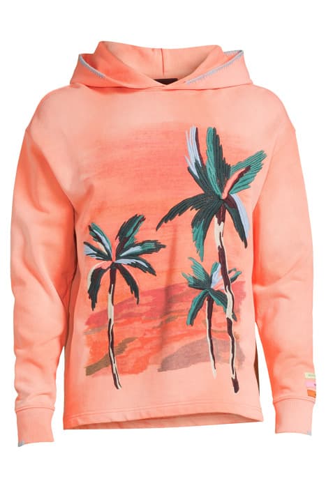 RELAXED PRINT AND EMBROIDERY WASHED FELPA HOODIE LIGHT TERRA by Scotch & Soda