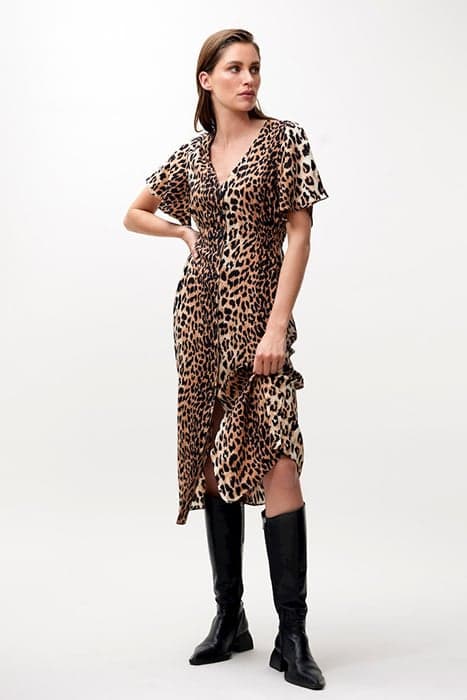 DR LEOPARD MIDI BROWN by Catwalk Junkie