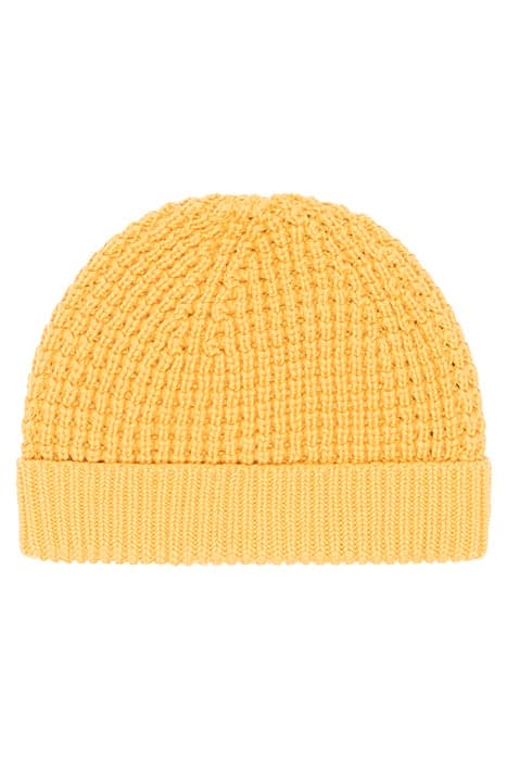 CHUNKY COTTON BEANIE NARCISSUS by French Connection