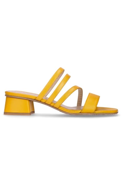 CANNES AMARILLO by MASCARO