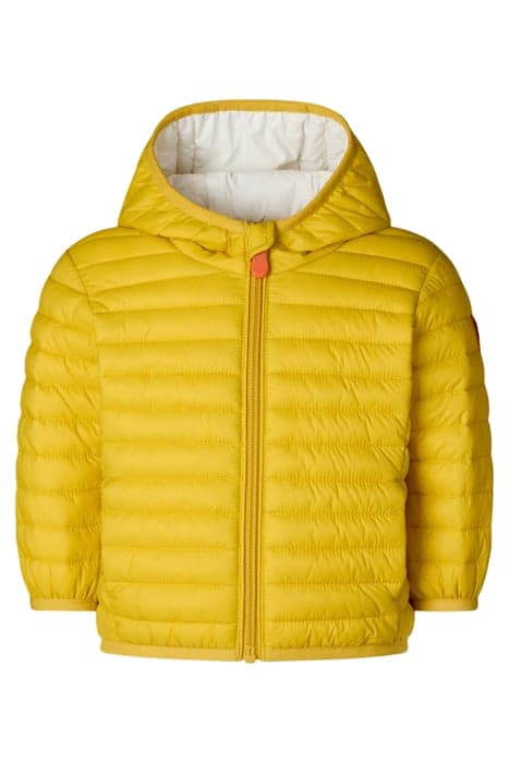 NENE HOODED JACKET CURRY YELLOW by Save The Duck