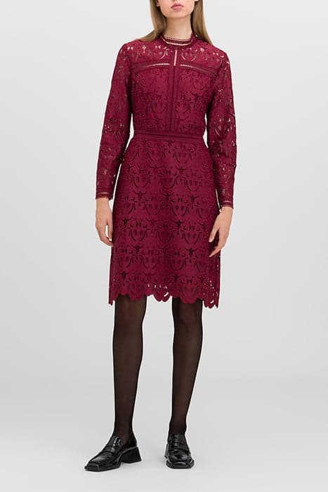 MONA MINI LENGTH LACE DRESS BERRY RED by Ivy Oak