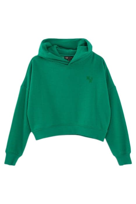 GIRLS’ GREEN FLOCKED CROPPED HOODIE by IKKS