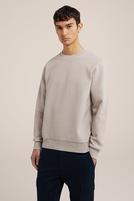 SWEATER LIGHT GREY by WE Fashion