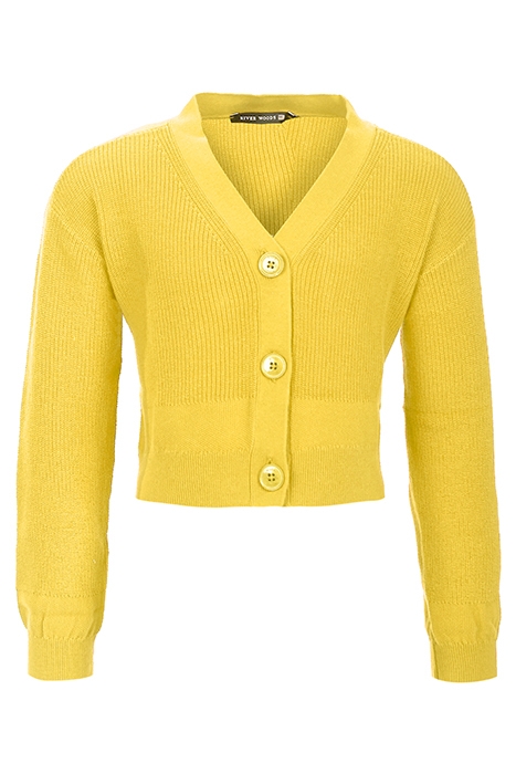 RG20S-C9124_A-000_BAN YELLOW 1